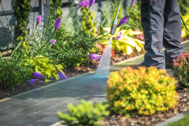 Best Fence Cleaning  in Oakwood, PA