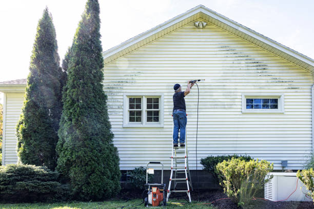 Best Driveway Pressure Washing  in Oakwood, PA